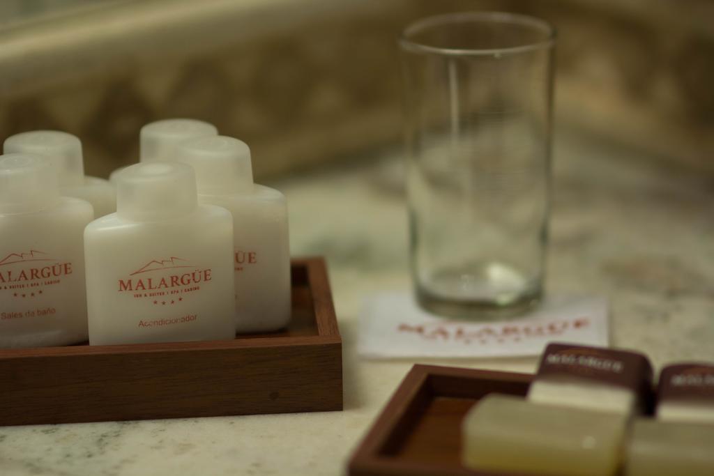 Hotel Malargüe Pokoj fotografie